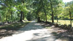 A wide dirt trail flanked on either side by a low stone wall. Trees shade the stone walls and trail