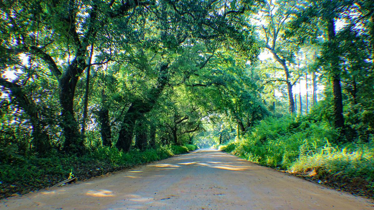 Eutaw Springs